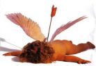 Cupid is Dead
Dead Cupid   